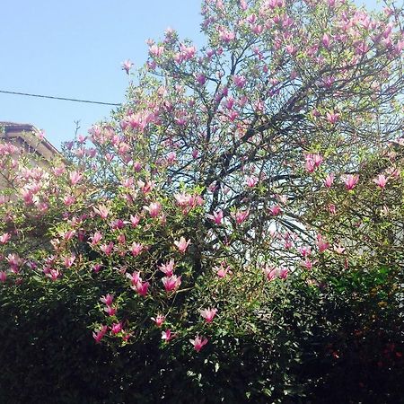 Appartamento La Magnolia Riccò del Golfo di Spezia Esterno foto