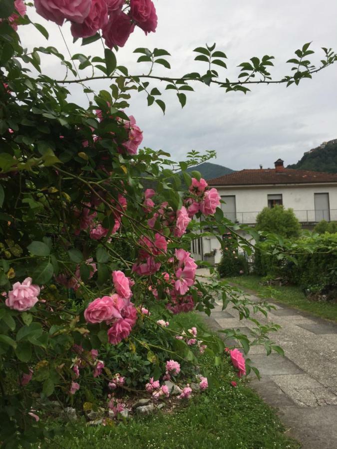 Appartamento La Magnolia Riccò del Golfo di Spezia Esterno foto