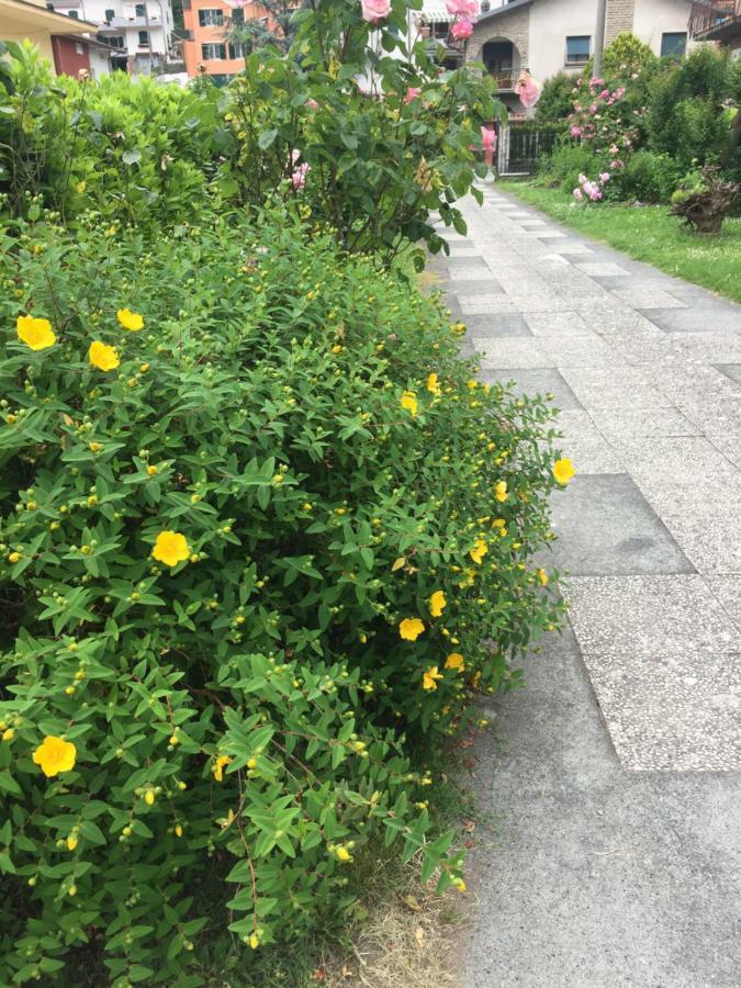 Appartamento La Magnolia Riccò del Golfo di Spezia Esterno foto