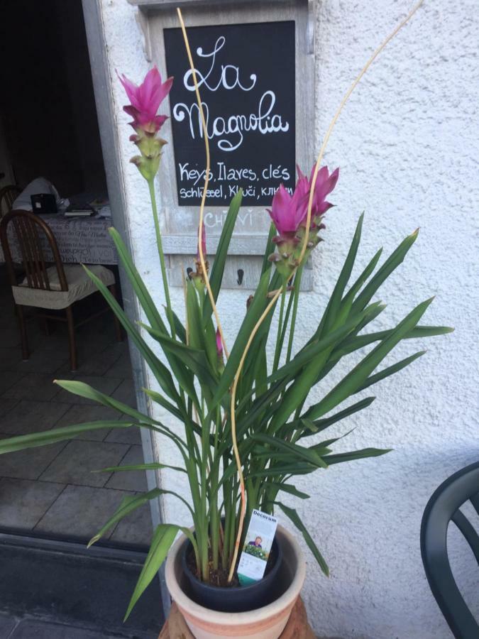 Appartamento La Magnolia Riccò del Golfo di Spezia Esterno foto