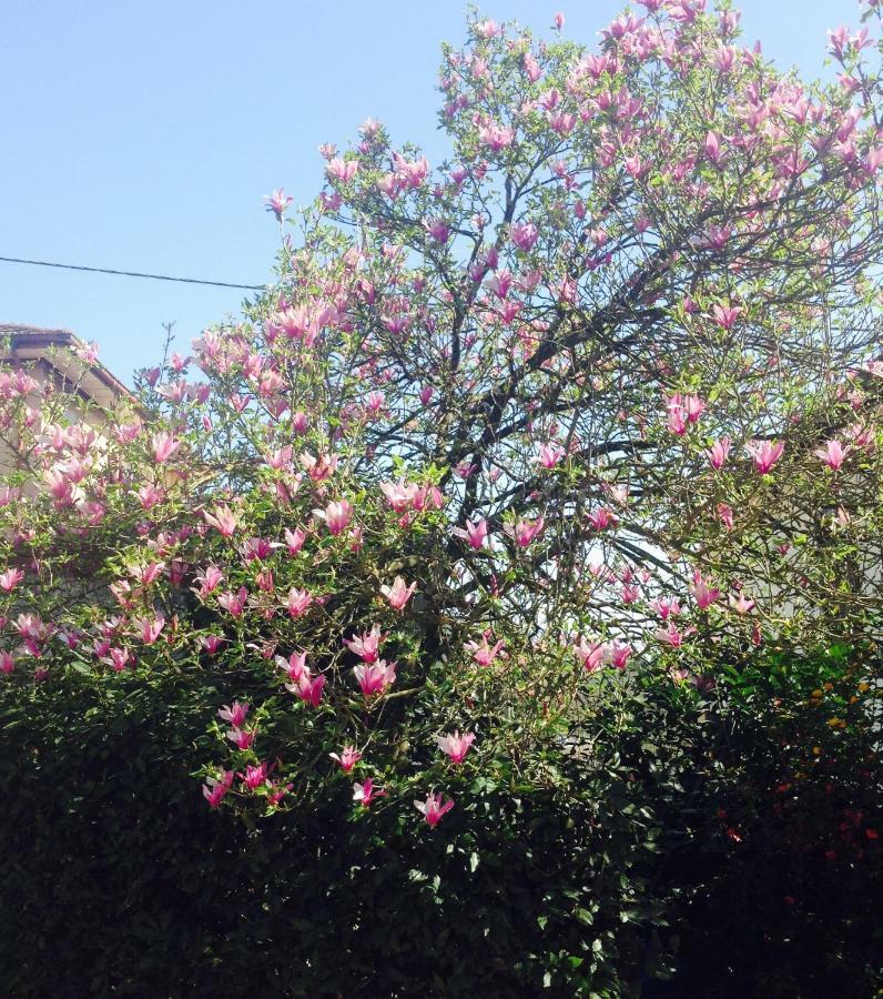 Appartamento La Magnolia Riccò del Golfo di Spezia Esterno foto