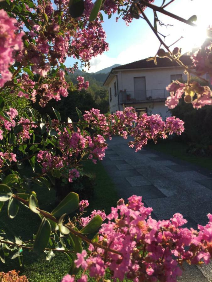 Appartamento La Magnolia Riccò del Golfo di Spezia Esterno foto